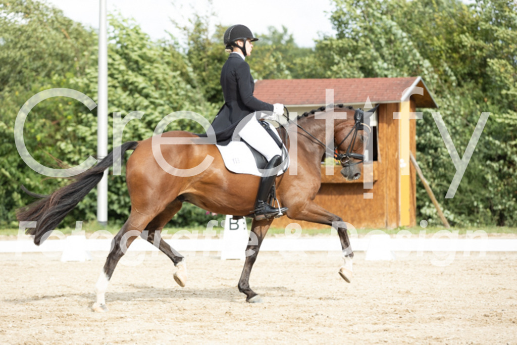 IMG_6563 | Creatify Fotografie