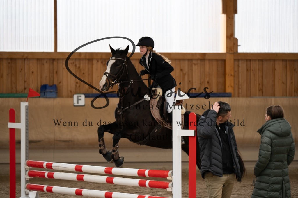 A7V00246 | Pferdefotograf