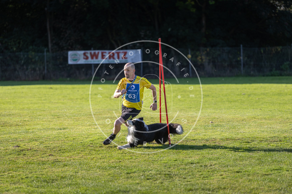 Pfotenfotografie.de_DV3A3475 | Hundefotografie, Tierfotograf, Pfotenfotografie, Fotoshooting Hund, Hunde Portrait, Hundesport, Hundeportraits, Heideshooting, Hunde, Sportfotograf, Hundefotograf, Turnierhundsport, THS, canicross - Realisiert mit Pictrs.com