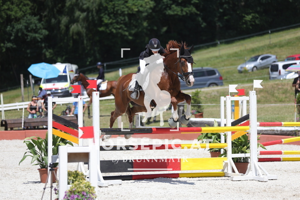 0P6A9295 | Willkommen bei Brunnmayr - Design & Fotografie – Ihrem Spezialisten für Reitturniere und Pferdeveranstaltungen in Oberösterreich, Salzburg und Bayern! Seit über 17 Jahren sind wir leidenschaftlich dabei.