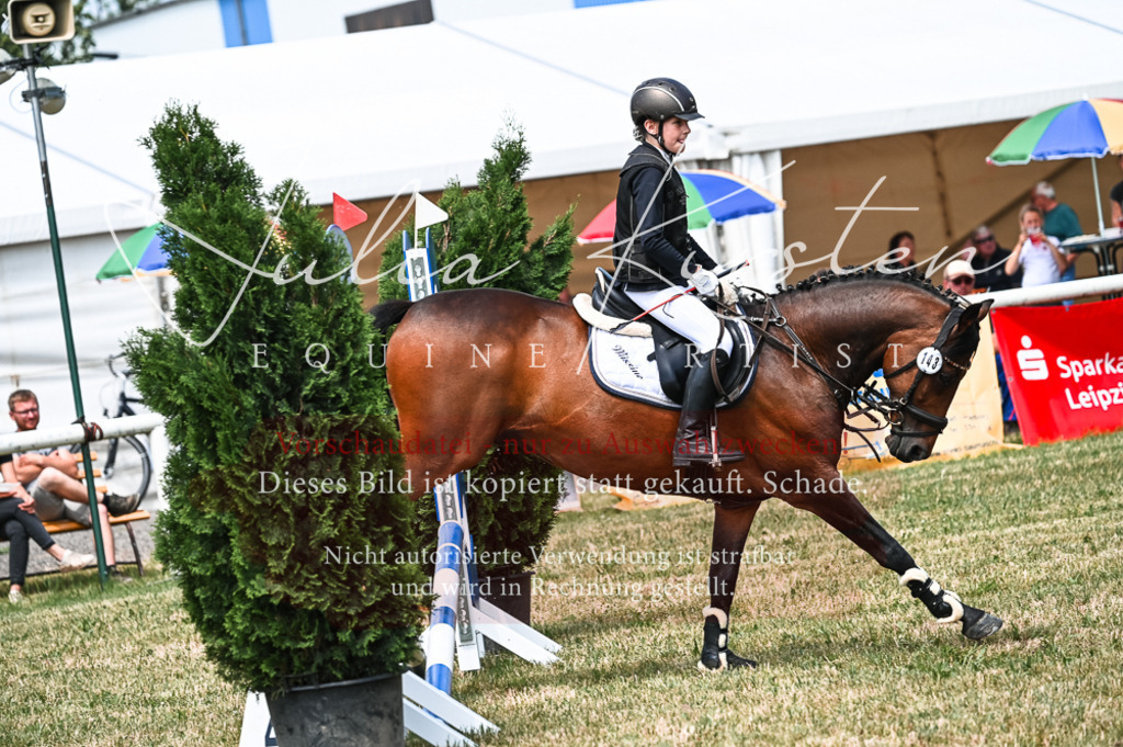 DSC_9650 | Pferde- und Turnierfotografie in Westsachsen. Pferdeportraits, Auftragszeichnungen und intuitive Kunst.