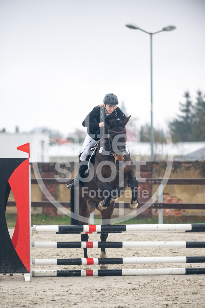 DSC_8914 | sattelsport - Realisiert mit Pictrs.com