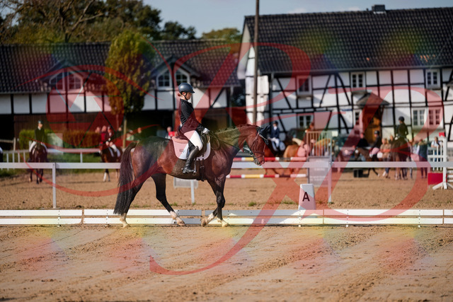 2026_10_03_Siefer-Hof_113622_Z63_21444400 | Professionelle Reitsport-, Turnier- und Eventfotografie von Robert Broda. Galerien mit ausgewählten und bearbeiteten Bildern direkt online ansehen und bestellen.