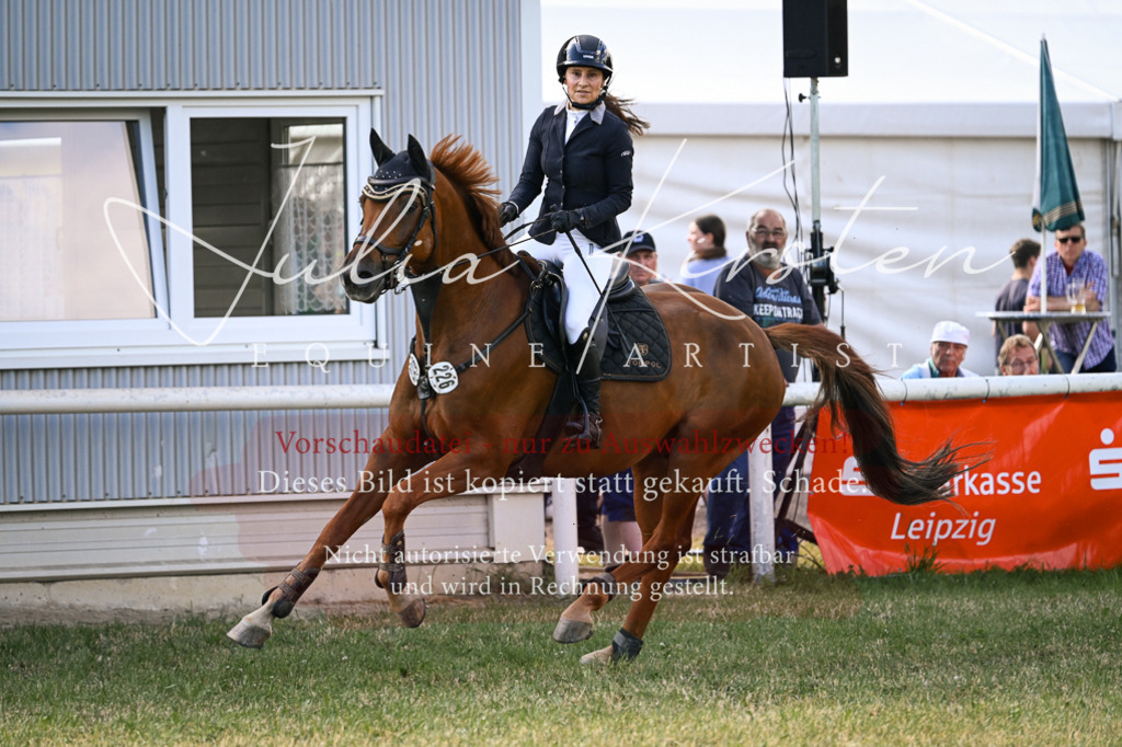 DSC_1370 | Pferde- und Turnierfotografie in Westsachsen. Pferdeportraits, Auftragszeichnungen und intuitive Kunst.