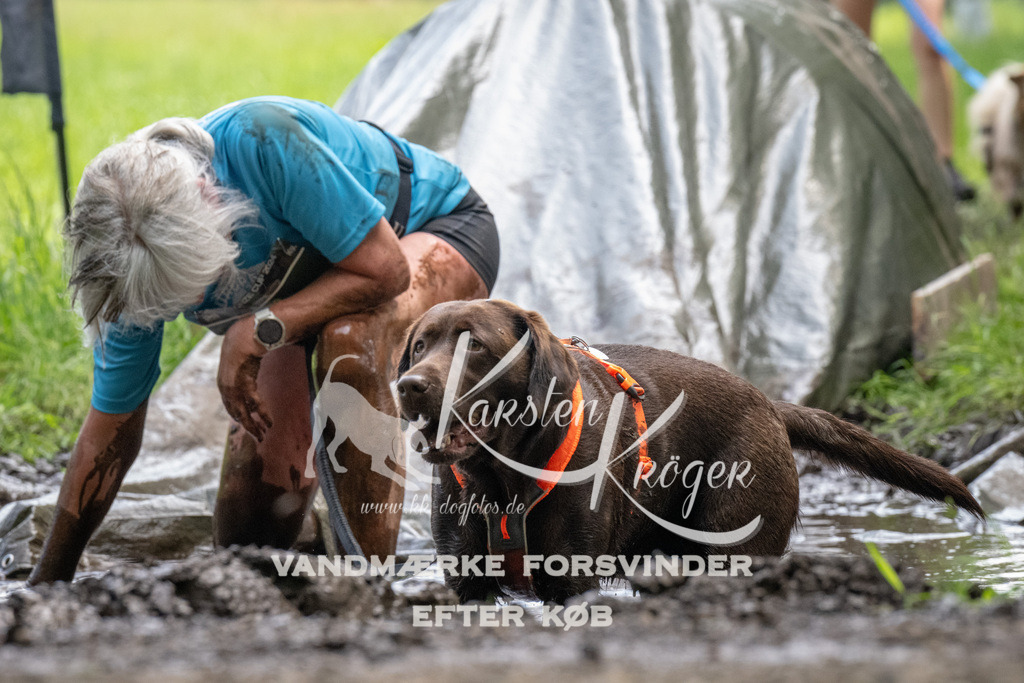 1140_ZZ93818 | kk-dogfotos