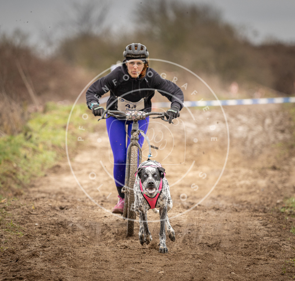 DV3A1282 | Hundefotografie, Tierfotograf, Pfotenfotografie, Fotoshooting Hund, Hunde Portrait, Hundesport, Hundeportraits, Heideshooting, Hunde, Sportfotograf, Hundefotograf, Turnierhundsport, THS,  - Realisiert mit Pictrs.com