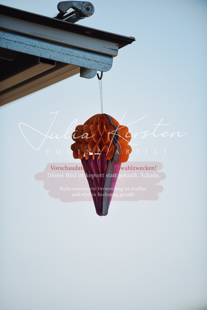 DSC_3392 | Pferde- und Turnierfotografie in Westsachsen. Pferdeportraits, Auftragszeichnungen und intuitive Kunst.