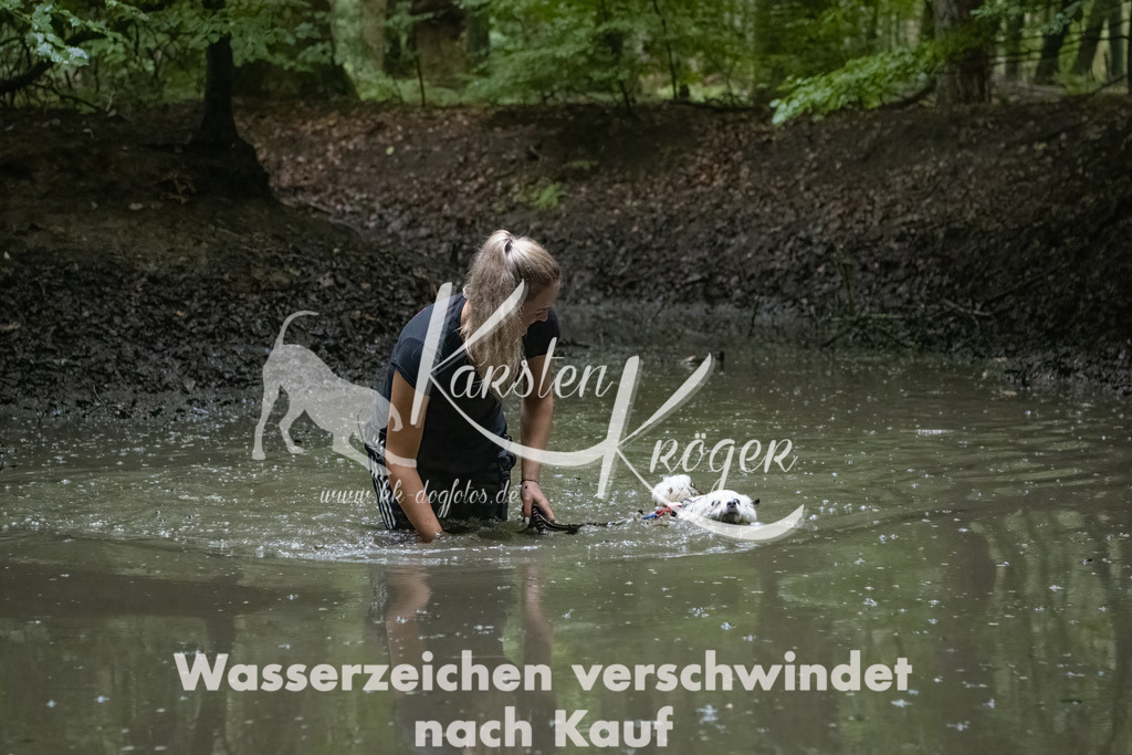 1037_ZZ92793-Bearbeitet | kk-dogfotos