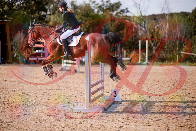 2026_10_03_Siefer-Hof_161028_Z81_89973063 | Professionelle Reitsport-, Turnier- und Eventfotografie von Robert Broda. Galerien mit ausgewählten und bearbeiteten Bildern direkt online ansehen und bestellen.