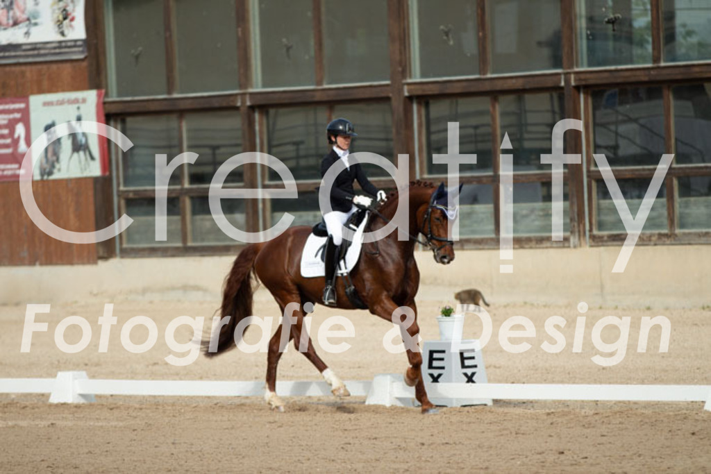 IMG_1058 | Creatify Fotografie