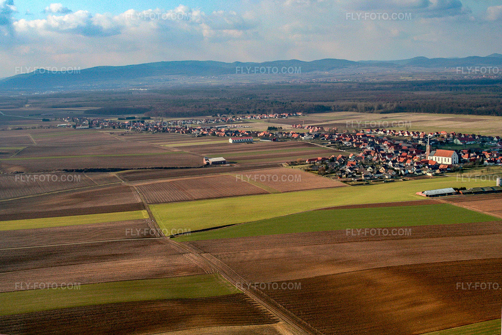 Aerial view: Bats and meadows from the southeast in Schleithal in the state Bas-Rhin, France.Photo: IMG_1191.jpg taken on 03/12/2006 by Werner Riehm/FLY-FOTO.comResolution of the original: 3332 x 2221 px