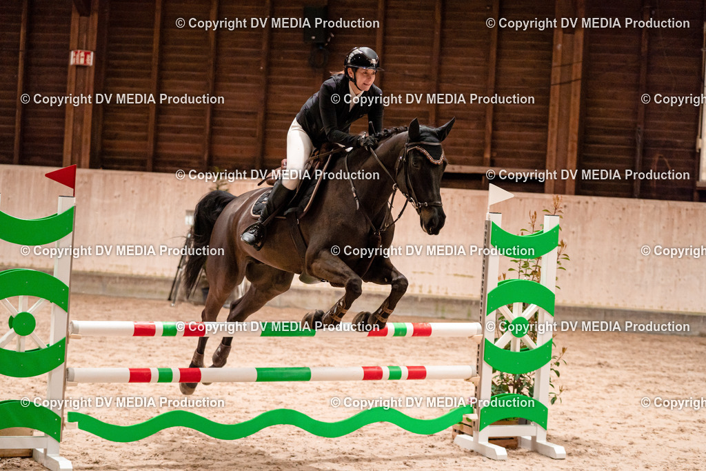 Springen Tag 2-088 | dv-media-shop - Realisiert mit Pictrs.com