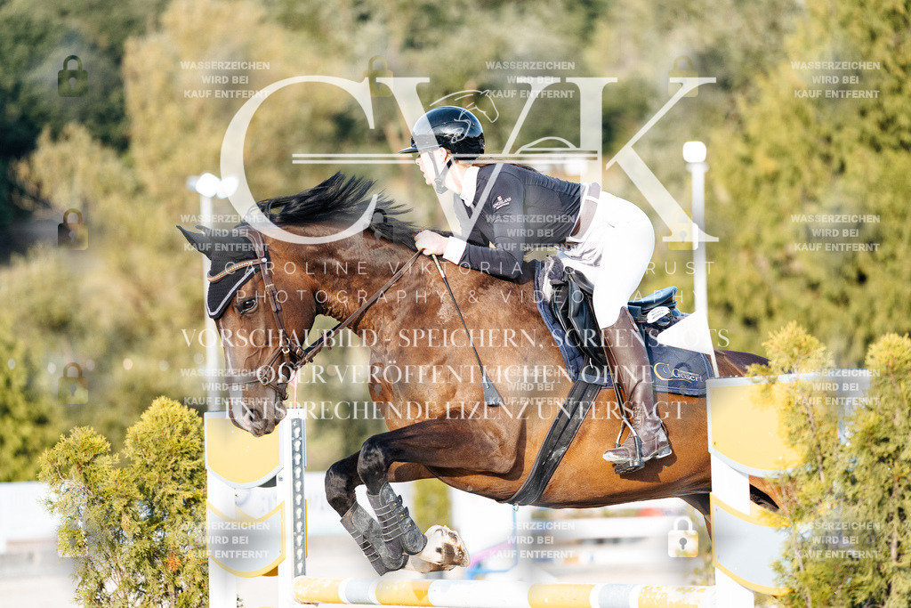 CK900829 | Turnierfotografie Pferdefotografie Trier Rheinland-Pfalz Pferdesport Reitsport Tierfotografie Sportfotografie Pferdevideo Pferdevideografie Equestrianvideography equestrianphotography  - Realisiert mit Pictrs.com