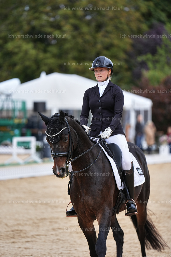 3-104-Dressur M_-Marixx-1962 | working equitationturnier fotograf videograf stoibphotography marixx film working equitation deutschland reitsport turnierfotografie eventfotografie equestrian events