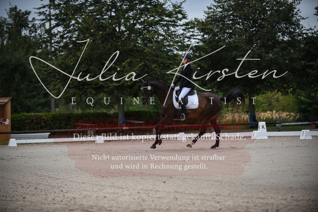DSC_7936 | Pferde- und Turnierfotografie in Westsachsen. Pferdeportraits, Auftragszeichnungen und intuitive Kunst.