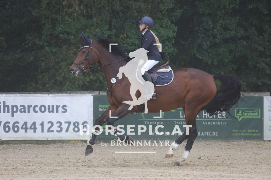 0P6A9973 | Willkommen bei Brunnmayr - Design & Fotografie – Ihrem Spezialisten für Reitturniere und Pferdeveranstaltungen in Oberösterreich, Salzburg und Bayern! Seit über 17 Jahren sind wir leidenschaftlich dabei.