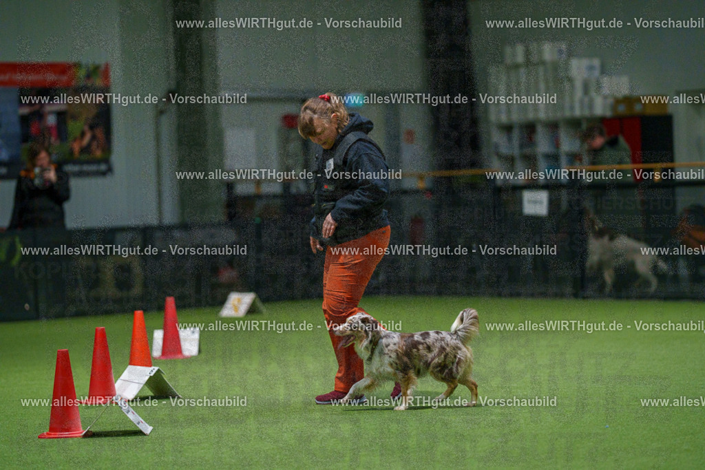 7R504639 | Professionelle Tierfotografie in Mönchengladbach von Daniel Wirth (allesWIRTHgut). Liebevolle & natürliche Bilder von Hunden & Katzen für unvergessliche Erinnerungen.