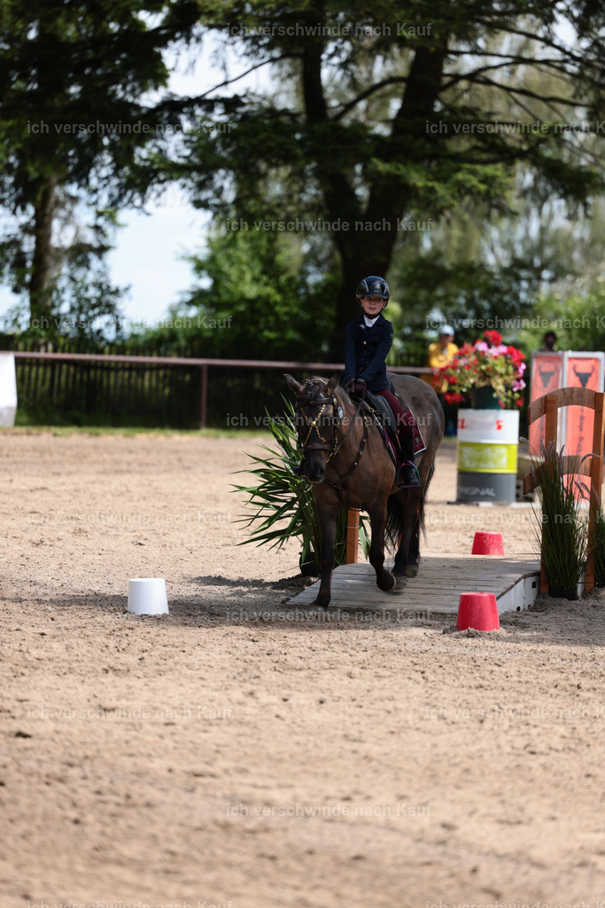 KlasseA_Stoibphotography_C2_L5680.JPG | working equitationturnier fotograf videograf stoibphotography marixx film working equitation deutschland reitsport turnierfotografie eventfotografie equestrian events
