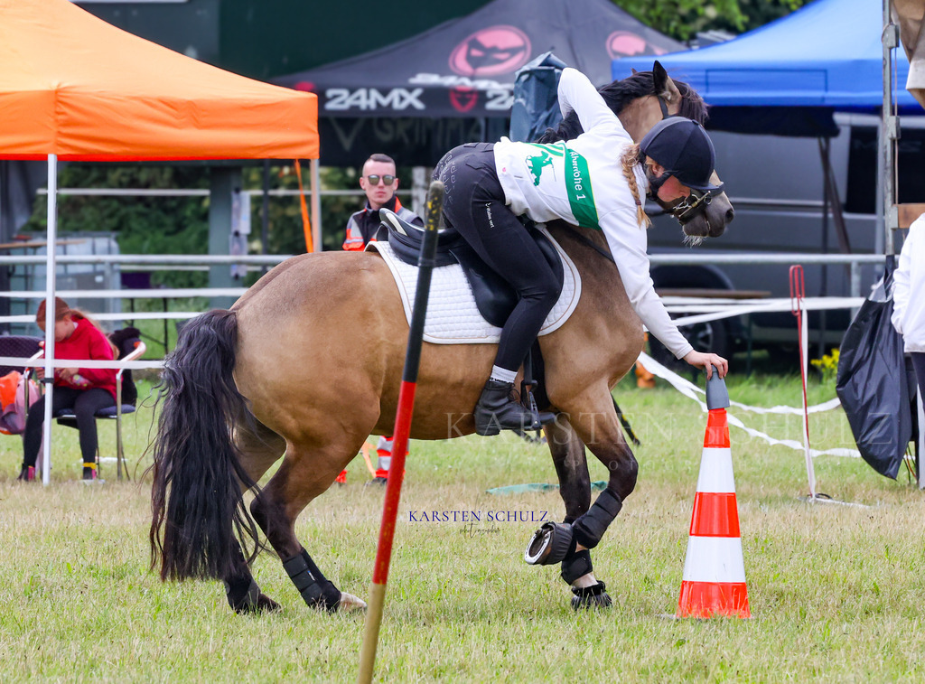1B3A4540 | Reitsport Reiten