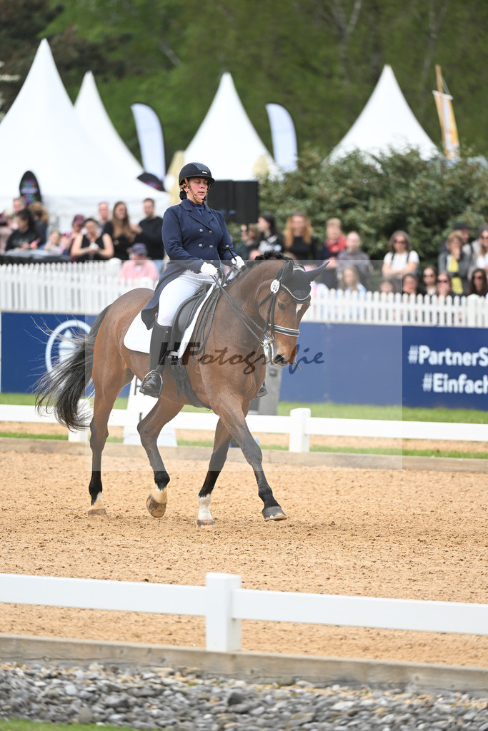 Zahn_Goldstueck_11233498 | hf-fotografie - Realisiert mit Pictrs.com