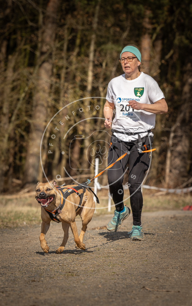 DV3A5953 | Hundefotografie, Tierfotograf, Pfotenfotografie, Fotoshooting Hund, Hunde Portrait, Hundesport, Hundeportraits, Heideshooting, Hunde, Sportfotograf, Hundefotograf, Turnierhundsport, THS,  - Realisiert mit Pictrs.com