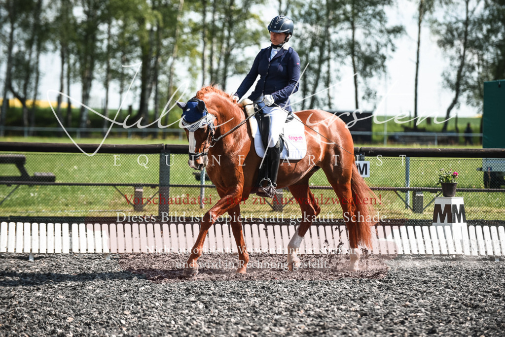 DSC_8852 | Pferde- und Turnierfotografie in Westsachsen. Pferdeportraits, Auftragszeichnungen und intuitive Kunst.
