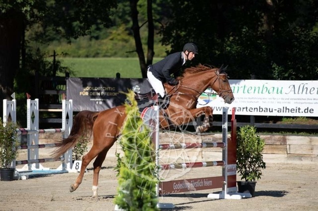 2B4A0662 | pixelfaenger - Realisiert mit Pictrs.com