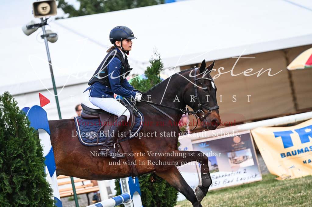 DSC_8217 | Pferde- und Turnierfotografie in Westsachsen. Pferdeportraits, Auftragszeichnungen und intuitive Kunst.