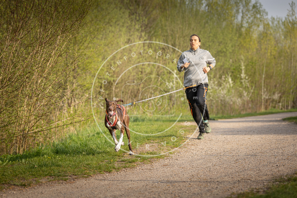 Pfotenfotografie_DV3A4513 | Hundefotografie, Tierfotograf, Pfotenfotografie, Fotoshooting Hund, Hunde Portrait, Hundesport, Hundeportraits, Heideshooting, Hunde, Sportfotograf, Hundefotograf, Turnierhundsport, THS,  - Realisiert mit Pictrs.com