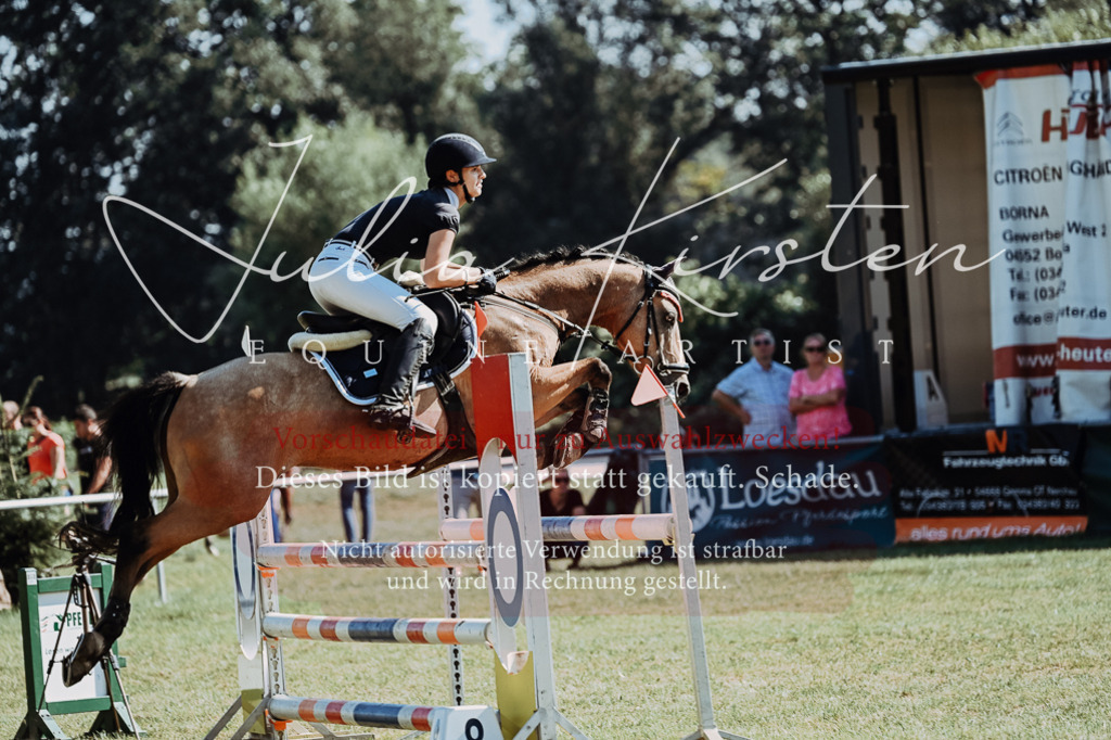 DSC_6046 | Pferde- und Turnierfotografie in Westsachsen. Pferdeportraits, Auftragszeichnungen und intuitive Kunst.