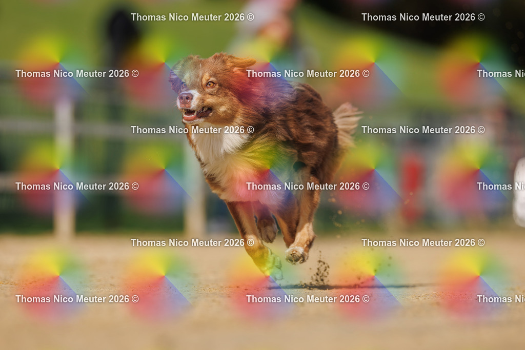 Thomas_Nico_Meuter(C)_03. Oktober 2026_223A3679 | Bild von Thomas Nico Meuter - Realisiert mit Pictrs.com
