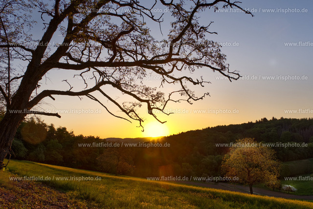 Sonnenaufgang im Odenwald | Sonnenaufgang bei Fränkisch-Crumbach im Odenwald
