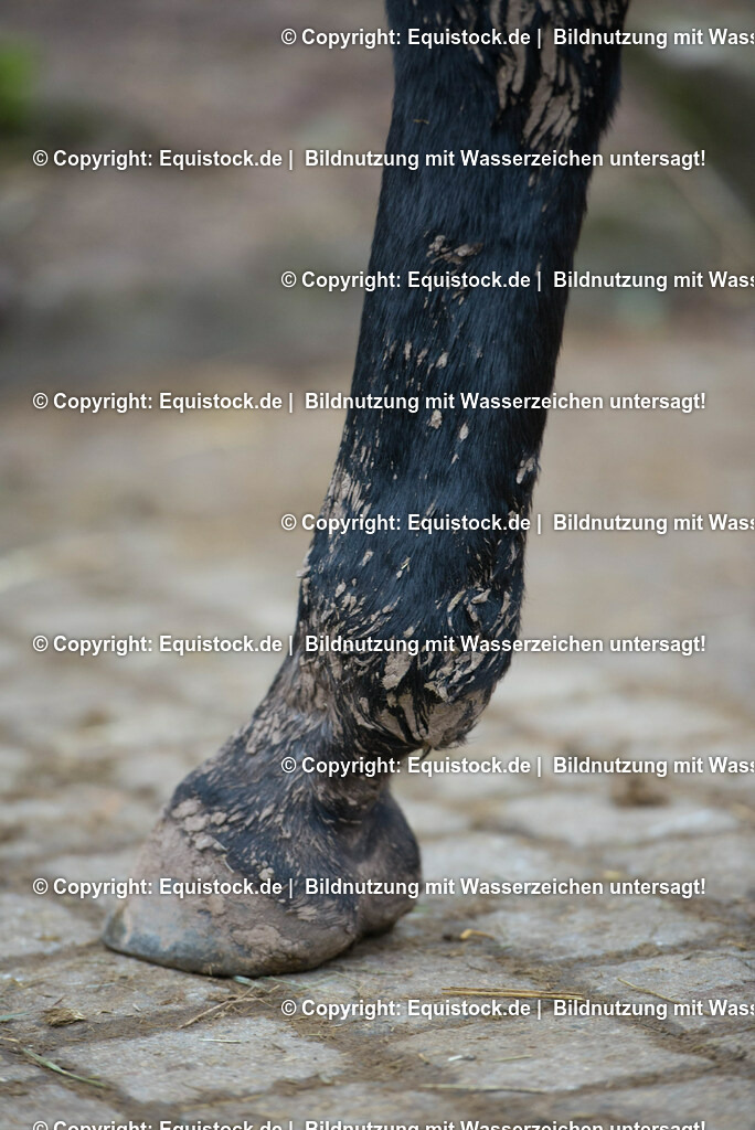 TPA_8268 | Foto: Thomas Hartig