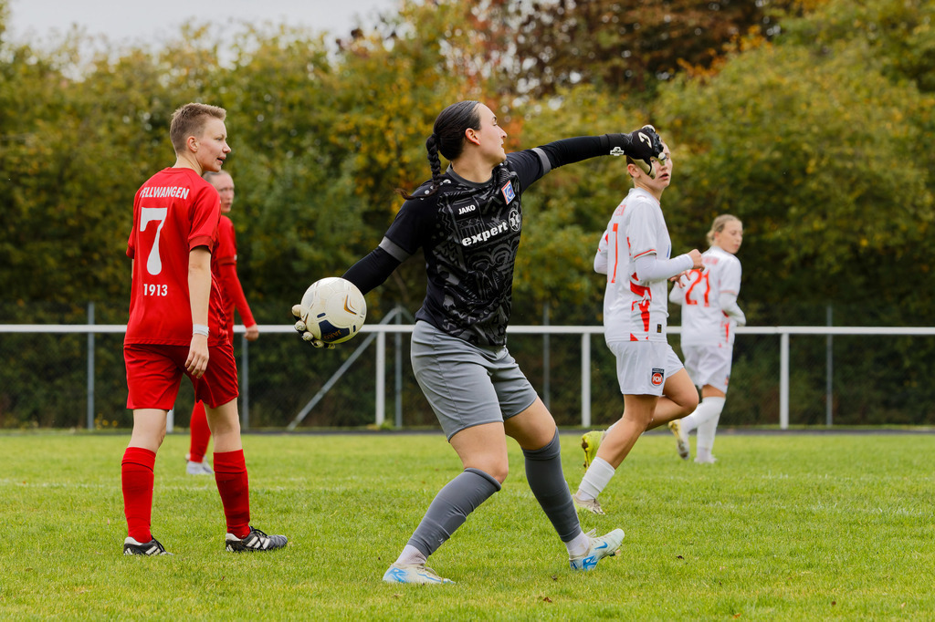 FCEFCH_251012_2066 | Fotopresso – Sportfotografie in Heidenheim & Umgebung. Professionelle Sportfotografie für unvergessliche Momente. Dynamische Action-Shots, emotionale Szenen & hochwertige Bilder. - Realisiert mit Pictrs.com