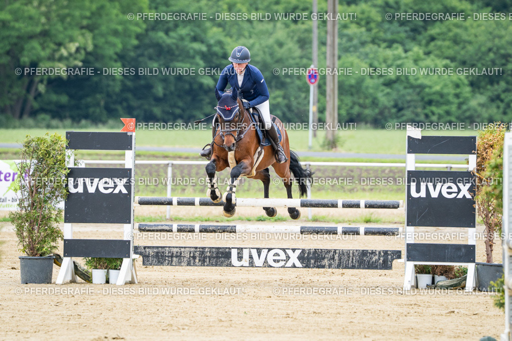 DSC03314 | Pferdegrafie