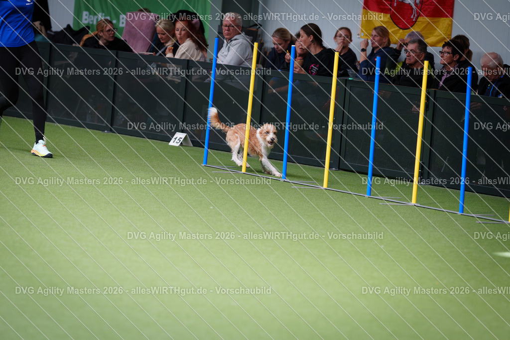 allesWIRTHgut_Tierfotografie-DVG_Agility_Masters_2026-11_21-7R505676 | Professionelle Tierfotografie in Mönchengladbach von Daniel Wirth (allesWIRTHgut). Liebevolle & natürliche Bilder von Hunden & Katzen für unvergessliche Erinnerungen.