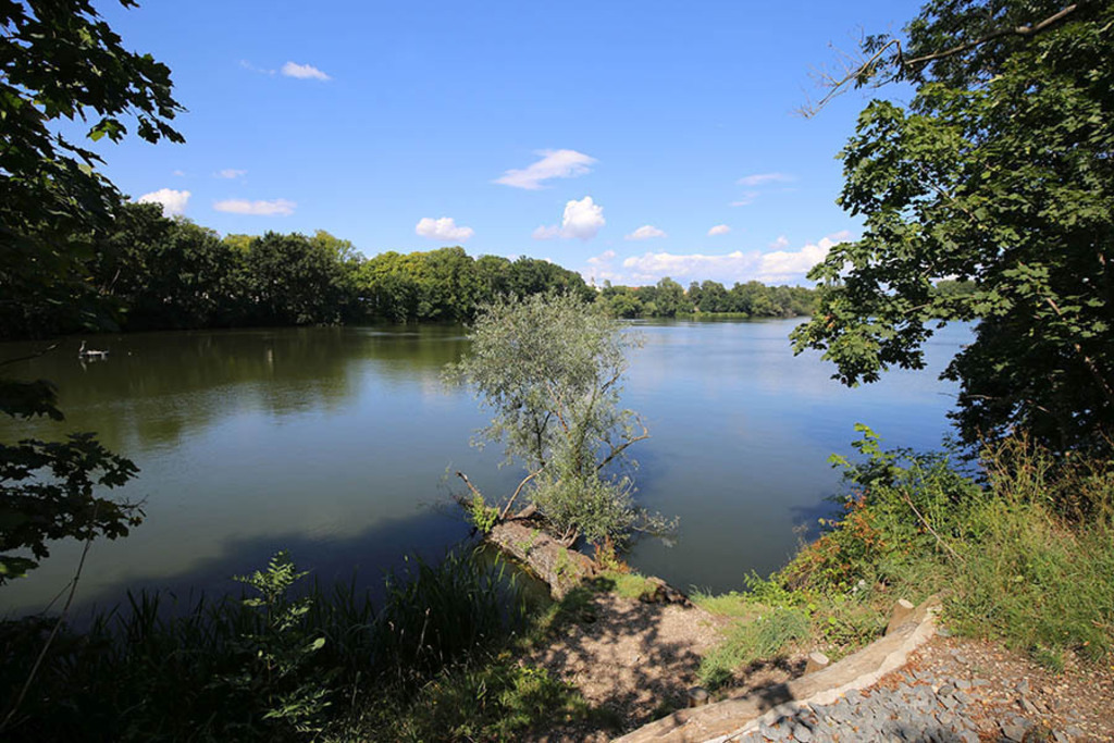 Foto: Leipzig - Auensee | Das Team hinter BILDLEXIKON LEIPZIG bündelt historische wie aktuelle Informationen über die Stadt Leipzig in Text und Bild auf einer Plattform und stellt diese der interessierten Öffentlichkeit zur Verfügung.