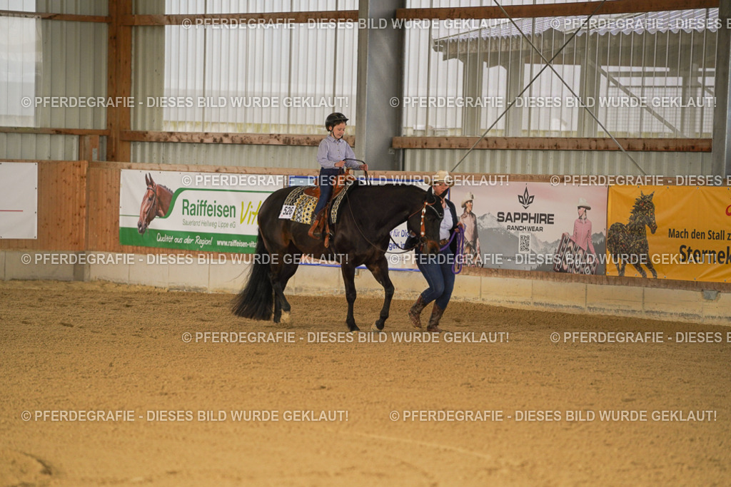 DSC00773 | Pferdegrafie