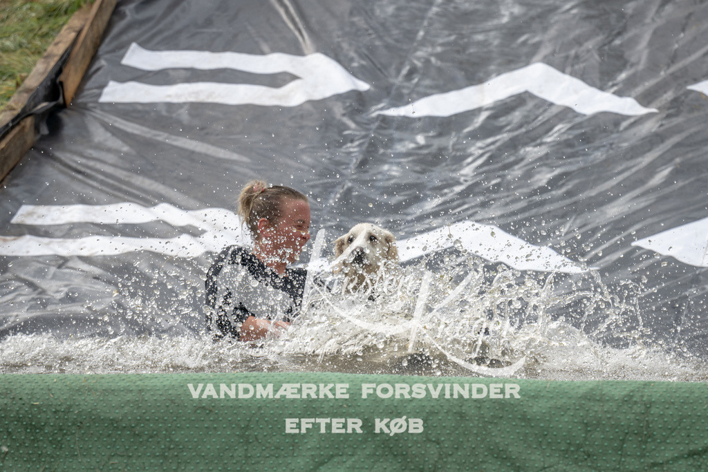 1135_ZZ93079 | kk-dogfotos