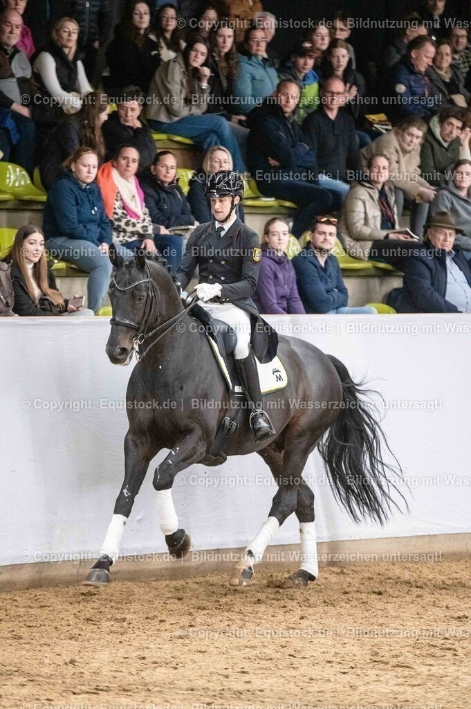 20260307_Hengstvorstellung-Marbach_0480 | equistock