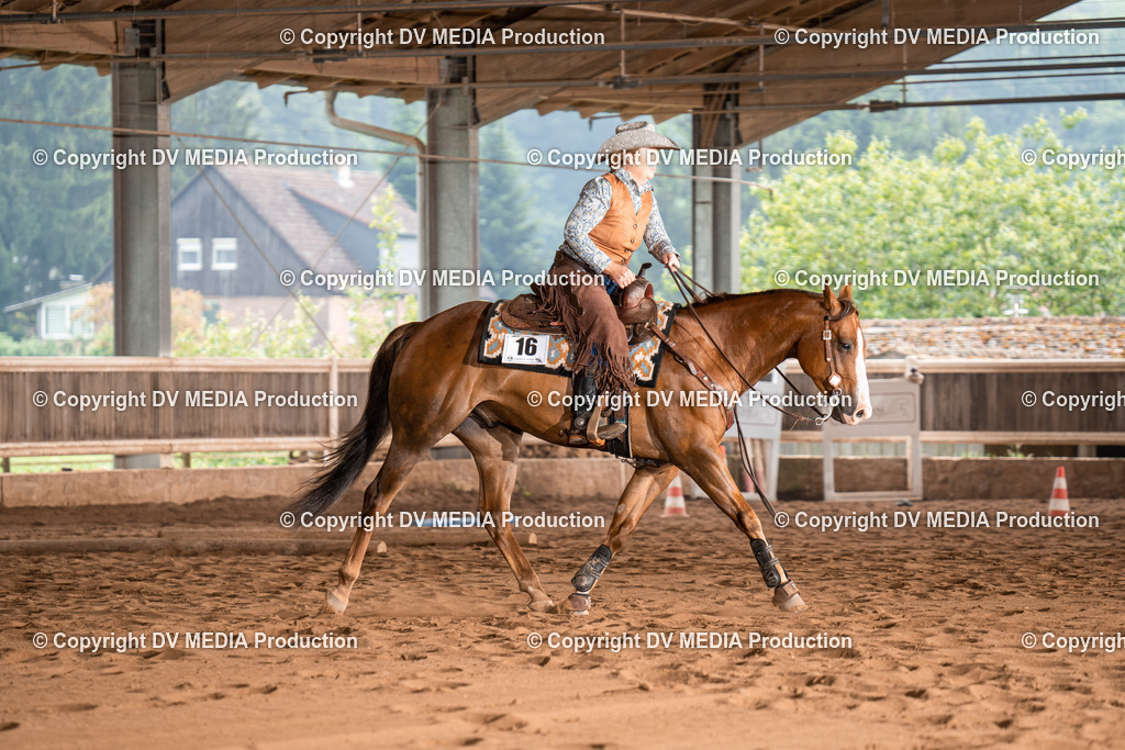 Erbach Tag 2-588 | dv-media-shop - Realisiert mit Pictrs.com