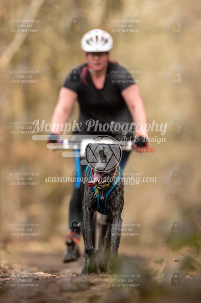 SPA_2023_SAM_Scooter-63 | PayLife