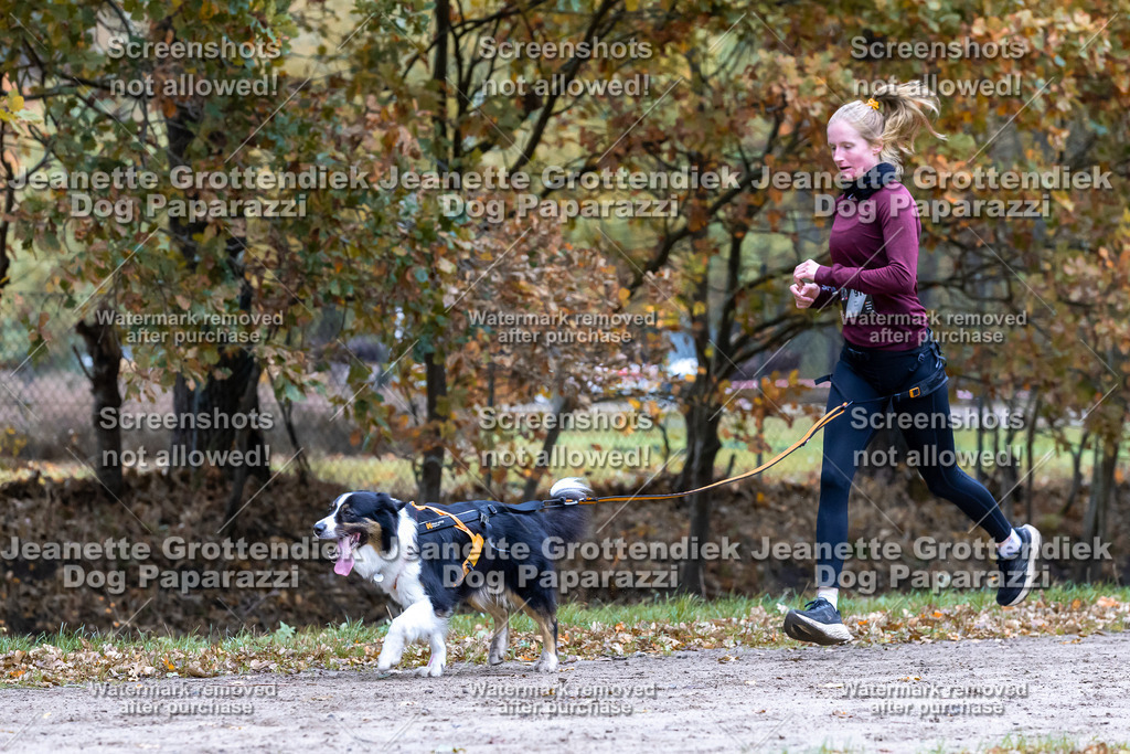 Dog Paparazzi - SD CaniX Championship 2025-388 | Dog Paparazzi Jeanette Grottendiek Fotografie & Videografie - Realisiert mit Pictrs.com