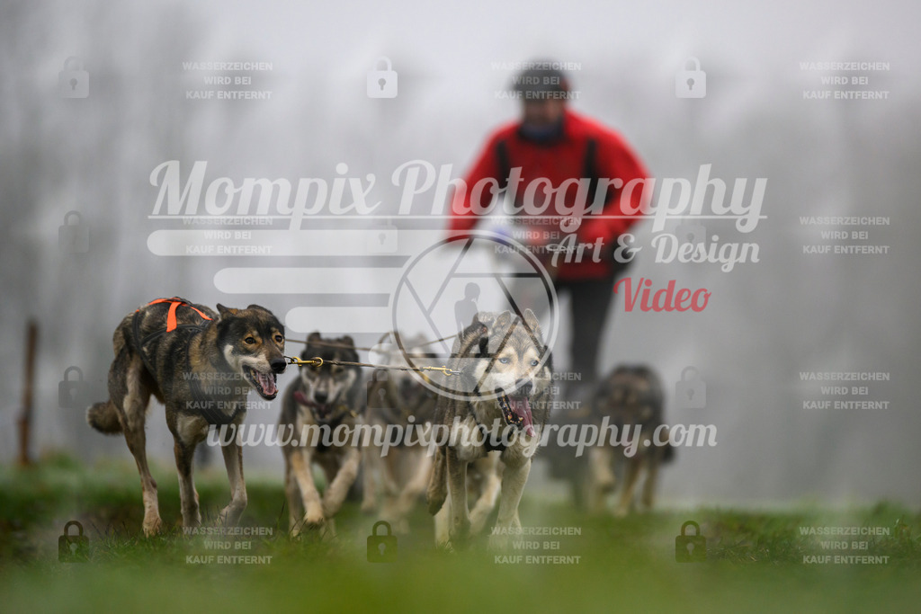 MompixPhotography_CDF2023_FFST_Di_Kart-88 | PayLife