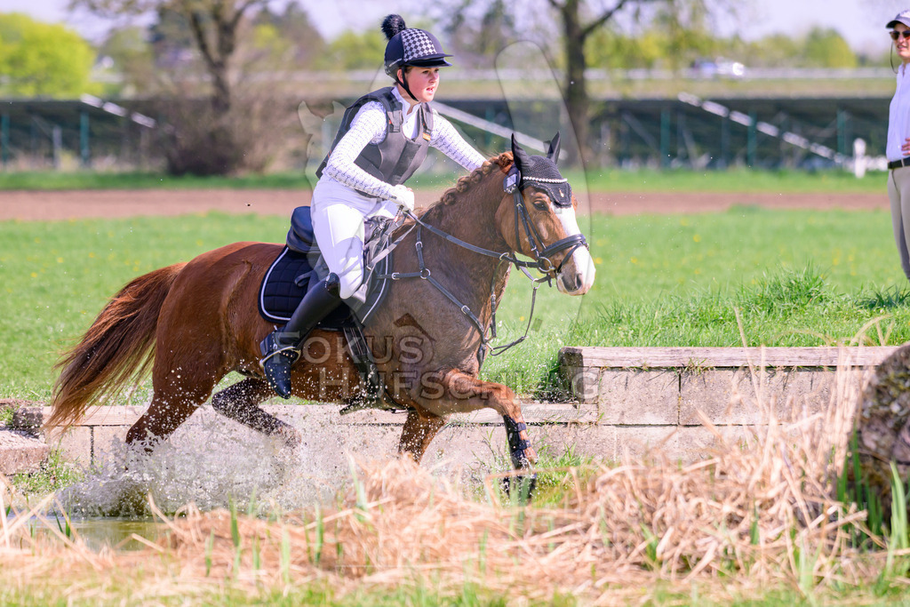 18042026-Gernlinden-04-1-0159 | Fokus Hufschlag Fotografie - Realisiert mit Pictrs.com