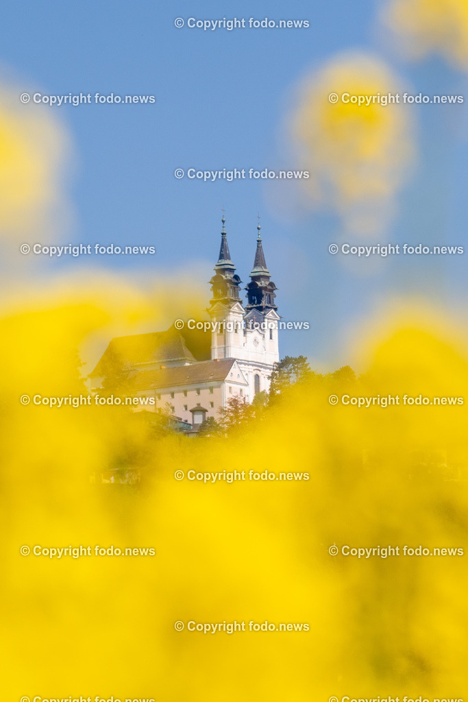 Poestlingbergkirche_ Wallfahrtsbasilika_ 05.05.2025-7 | 05.05.2025, LINZ, AUT, Themenbild, im Bild Pöstlingberg, Poestlingberg, Kirche, Berg, Fruehling, Himmel, Turm, Tuerme, Ausflugsziel, Poestlingbergkirche, Wallfahrtsbasilika, Wahrzeichen, Linz, Raps, Rapsfeld, Gelb, leuchtend, Pflanzen, Feature, Symbolbild