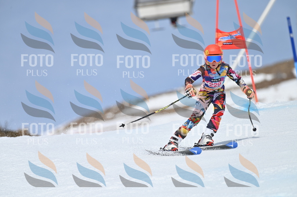 BGV_1481 | holidayphoto