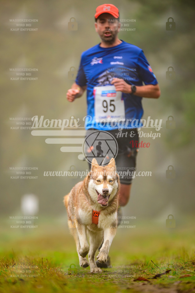 MompixPhotography_Bischwiller2025_Canicross-73 | mompixphotography