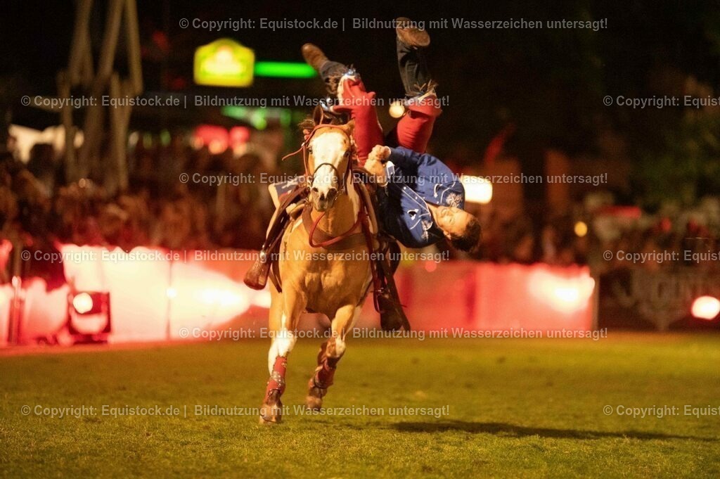 20230526_Pferdenacht_1255 | equistock