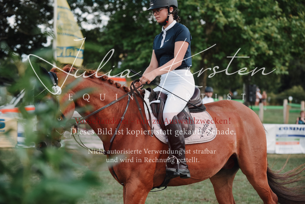 DSC_5594 | Pferde- und Turnierfotografie in Westsachsen. Pferdeportraits, Auftragszeichnungen und intuitive Kunst.